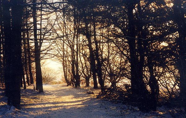 Winter afternoon on Cleanhill