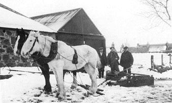 Horse-Drawn Snow Plough