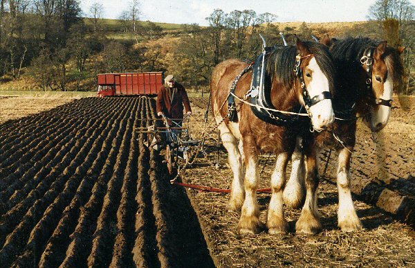 Hector Hosie ploughing