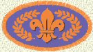 Chief Scout Bronze Award