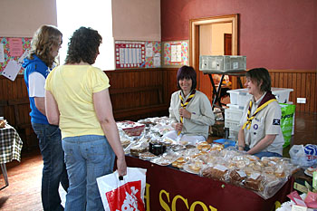 Scout stall