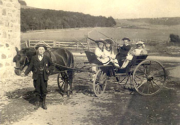 The Webster Children