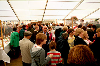 Visitors to the Show