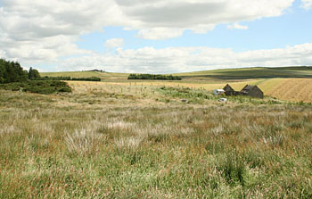 Site for the Straw Bale House