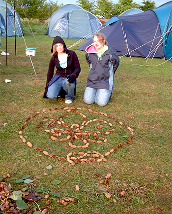 Scout badge with cones