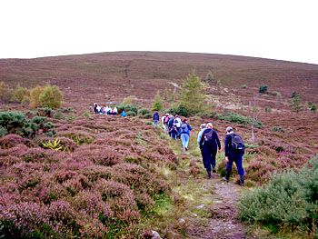 On Knock Hill