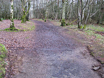 Work started on scraping back to hard surface