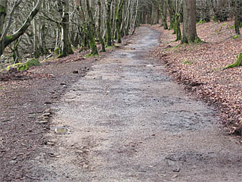 Path after scaping back to hard surface