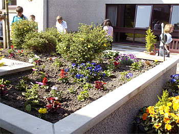 Walker Court planting