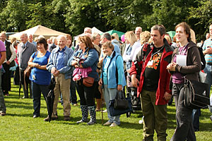 More crowd