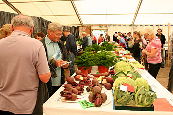Mixed veg.