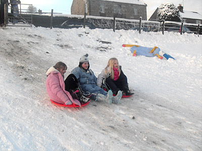 Fun in Hector's Park