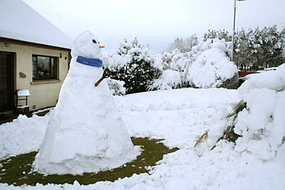Snowman