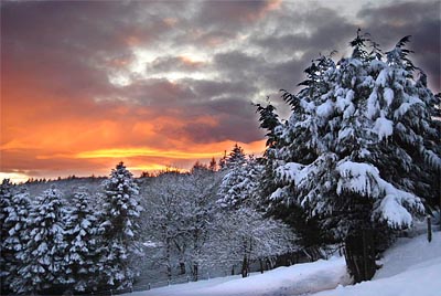Evening View over Hector's Park