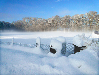 Mist over park
