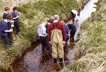 Releasing the salmon