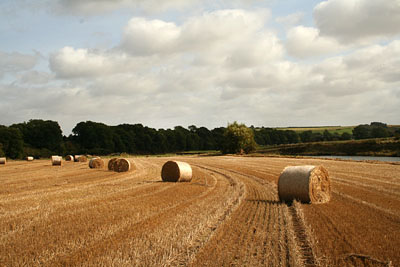 Deveron at normal levels