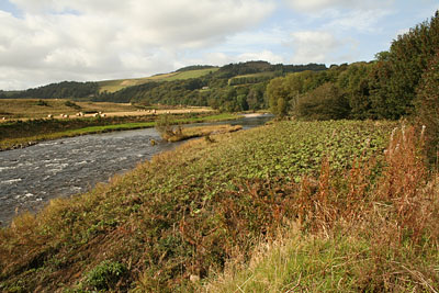 Deveron at normal levels