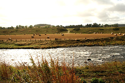 Deveron at normal levels