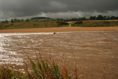 Deveron in flood