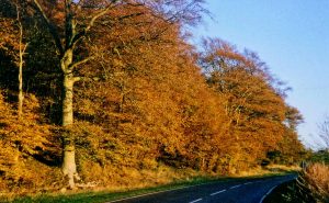 Cleanhill