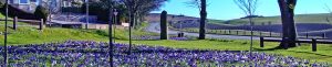 Explore Aberchirder