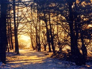 Cleanhill In Winter
