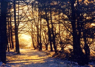 Cleanhill In Winter