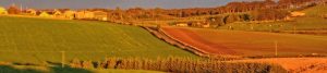 Foggieloan countryside