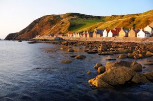Crovie