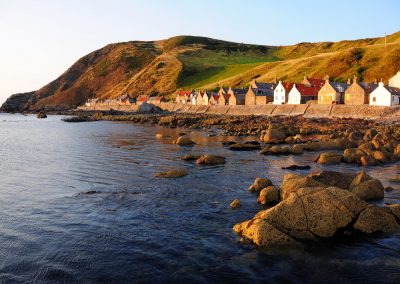 Crovie