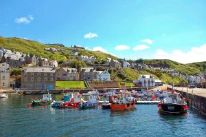 Gardenstown