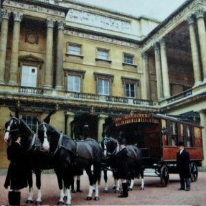 The Wanderer Buckingham Palace 2007