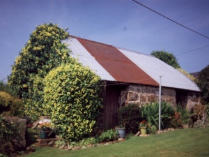 Garden Shed