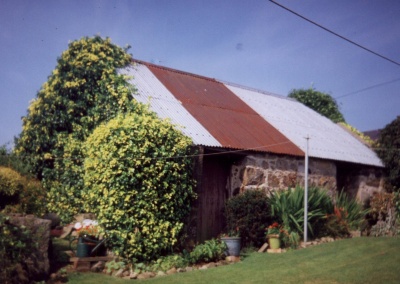 Garden Shed