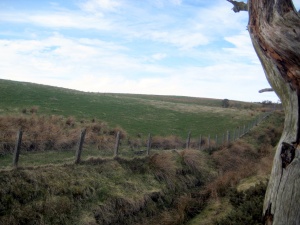 Culvie Bunker View 4