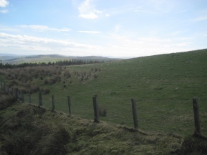 Culvie Bunker View 5