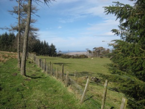 Culvie Bunker View 6