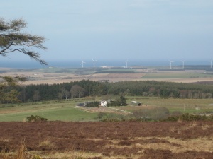 Culvie Bunker View 7