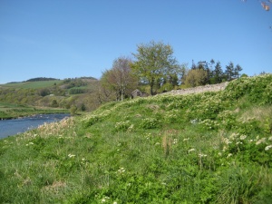 Possible Marnoch Bunker Site